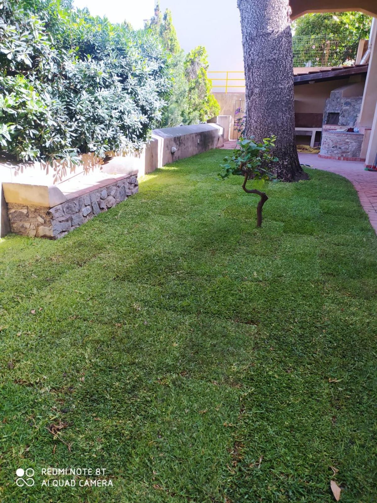 Maison Canopee Messina Exterior foto